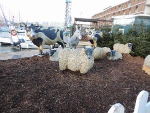 33  La seyne Les animaux de la Ferme